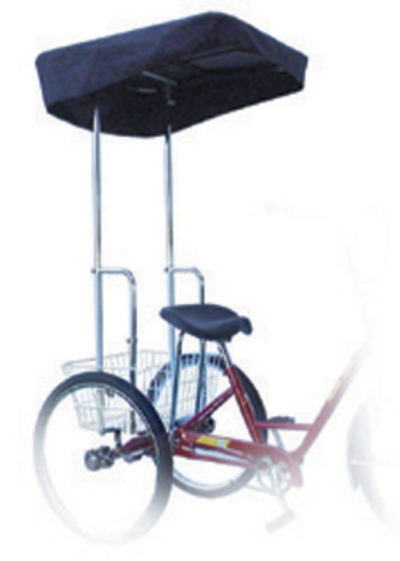 sun tricycle accessories